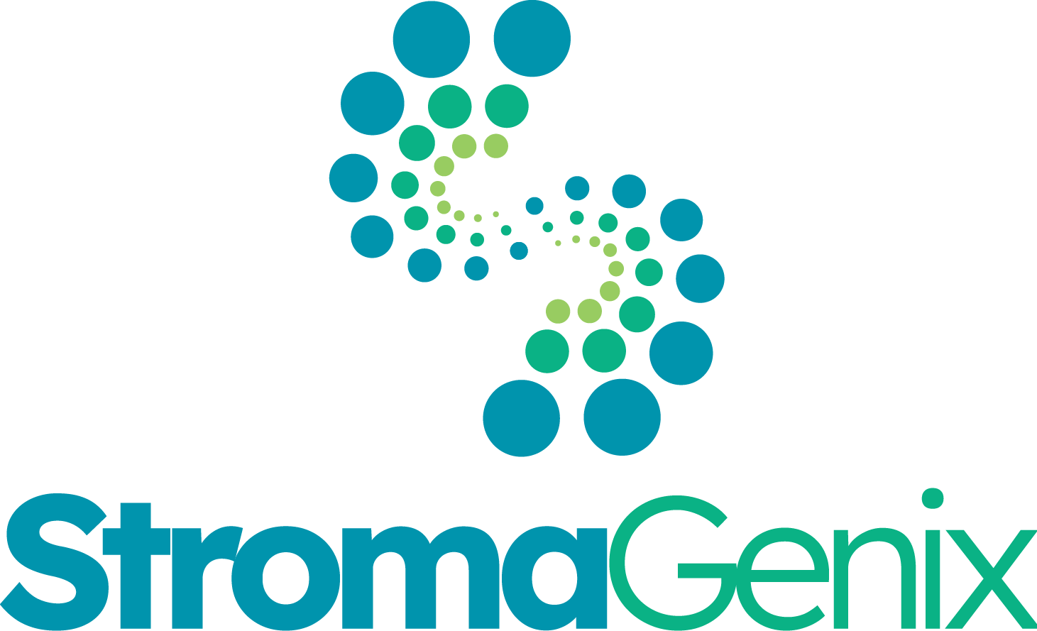 stromagenix stacked primary logo full colour