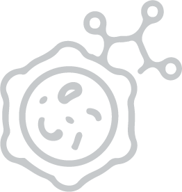 cell02 icon white@2x