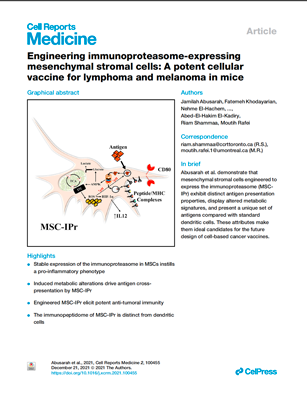 Cover page of Cell Reports Medicine 2021 article: Engineering immunoproteasome-expressing mesenchymal stromal cells as a potent cellular vaccine for lymphoma and melanoma in mice, by Abusarah, Khodayarian, El-Hachem, El-Kadiry, Shammaa and Rafei