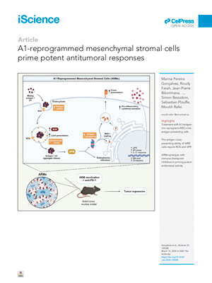 screenshot a1reprogrammedmsc